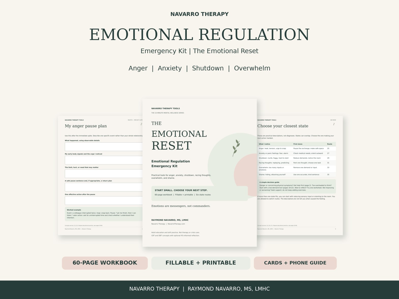 Emotional Regulation Emergency Kit with a fillable workbook, coping cards and a phone guide.
